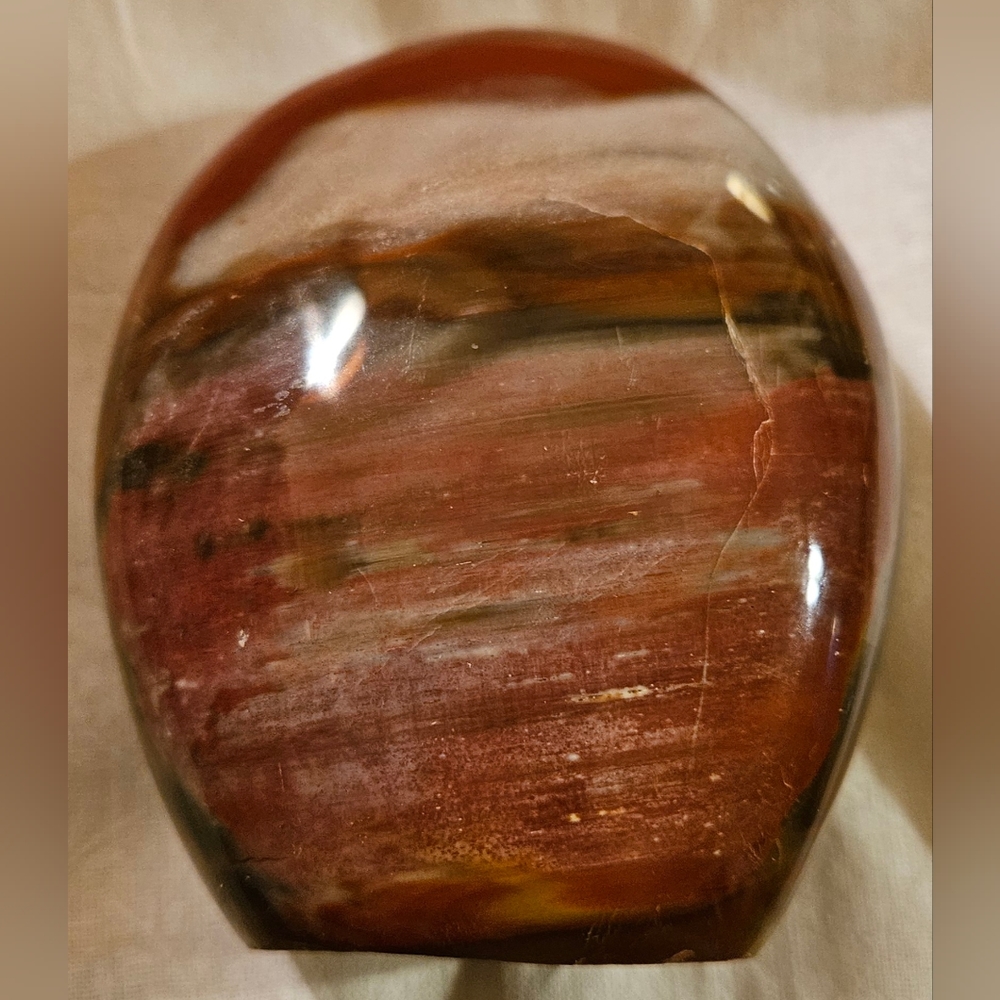 Petrified Wood Crystal Free Form